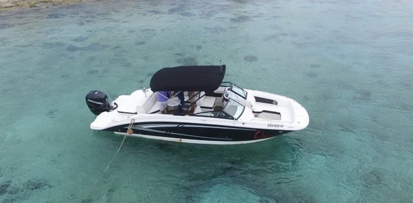 SEARAY 28 2019 C